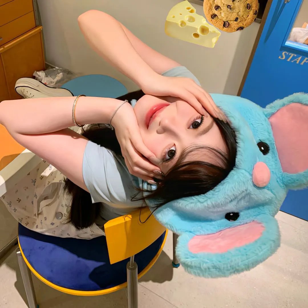 野猫嬉春